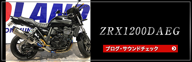 ZRX1200DAEG